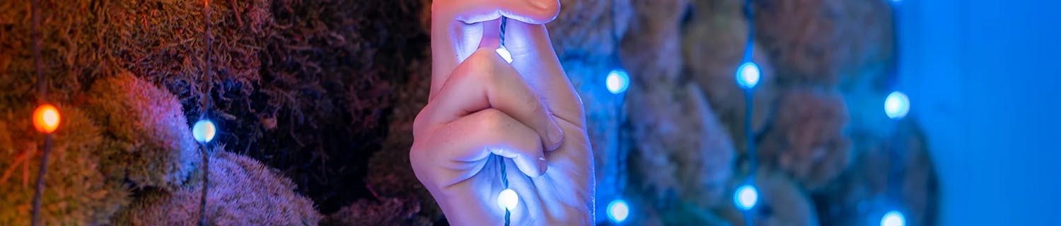 Twinkly Candies Twinkly Candies